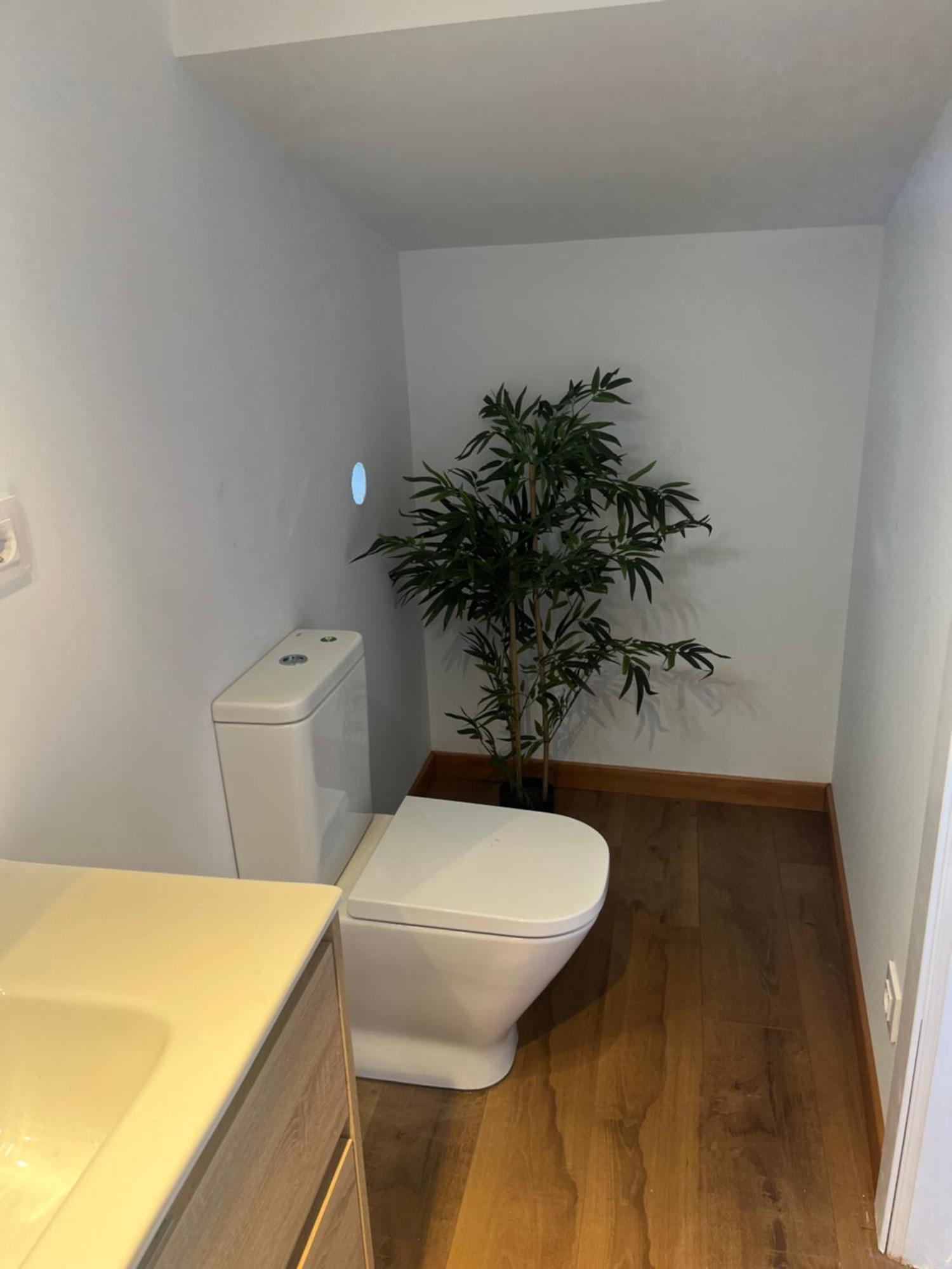 Apartamentosarturo Casarural Pancarale-Llanes Exteriör bild
