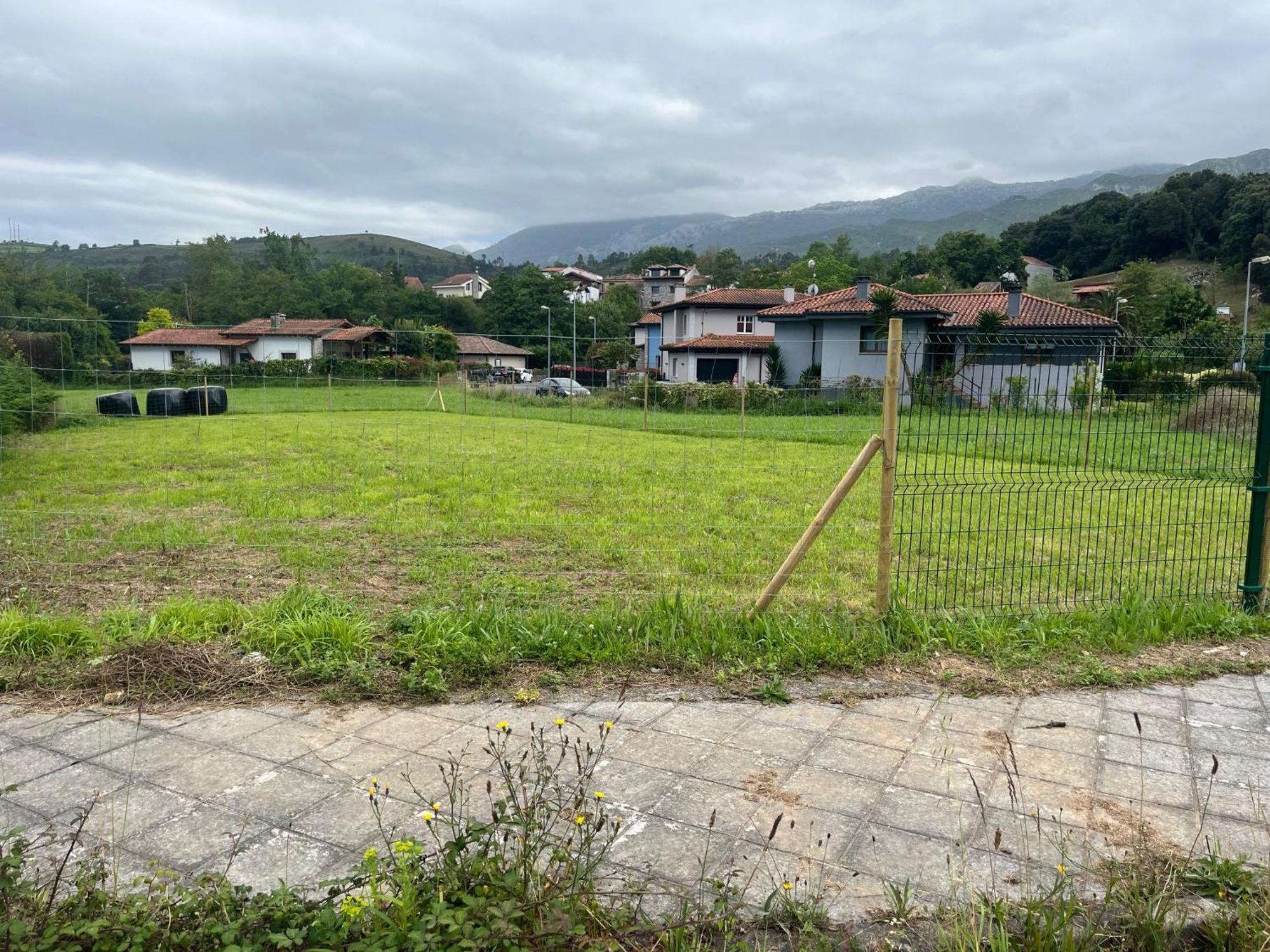 Apartamentosarturo Casarural Pancarale-Llanes Exteriör bild